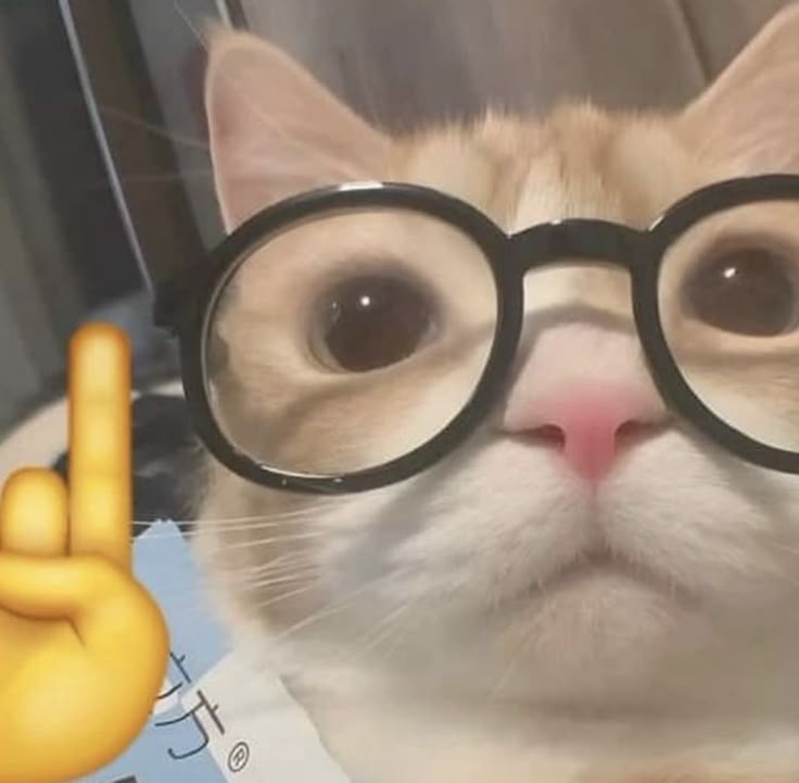 nerd